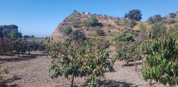 Terreno en Diseminado Chilches Rural