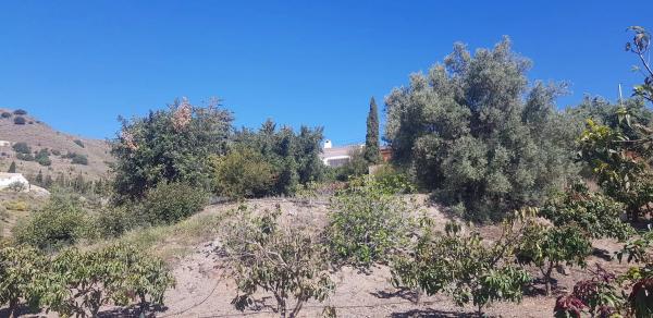 Terreno en Diseminado Chilches Rural