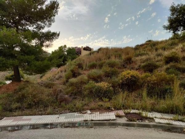 Terreno en calle Mirlo s/n