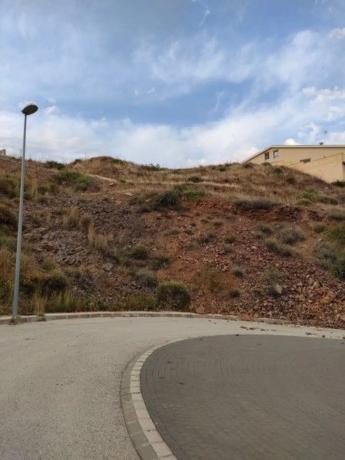 Terreno en calle Mirlo s/n