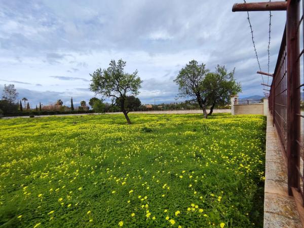 Terreno en camino las Barrancas, 22