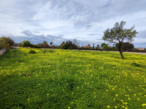 Terreno en camino las Barrancas, 22