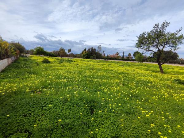 Terreno en camino las Barrancas, 22