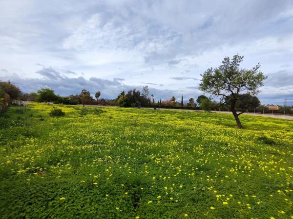 Terreno en camino las Barrancas, 22