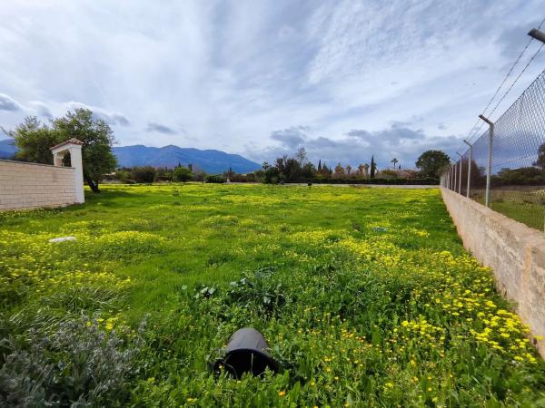 Terreno en camino las Barrancas, 22