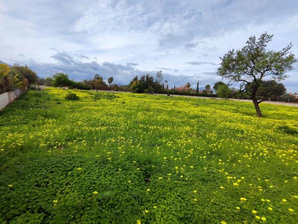 Terreno en camino las Barrancas, 22