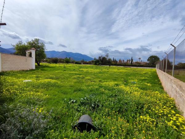 Terreno en camino las Barrancas, 22
