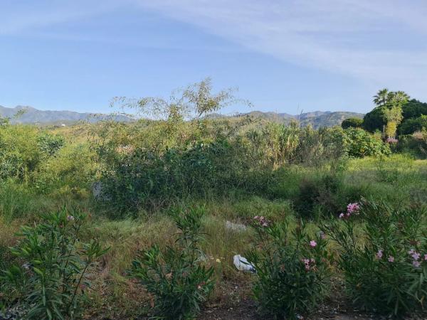 Terreno en Urbanización Parque Elviria