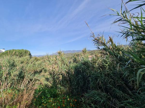 Terreno en Urbanización Parque Elviria
