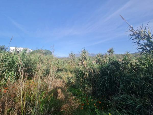 Terreno en Urbanización Parque Elviria