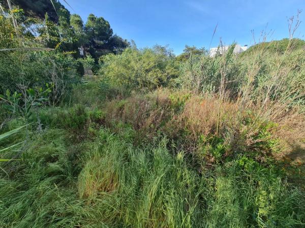 Terreno en Urbanización Parque Elviria