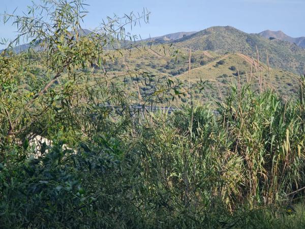 Terreno en Urbanización Parque Elviria