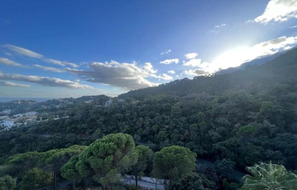 Terreno en El Madroñal