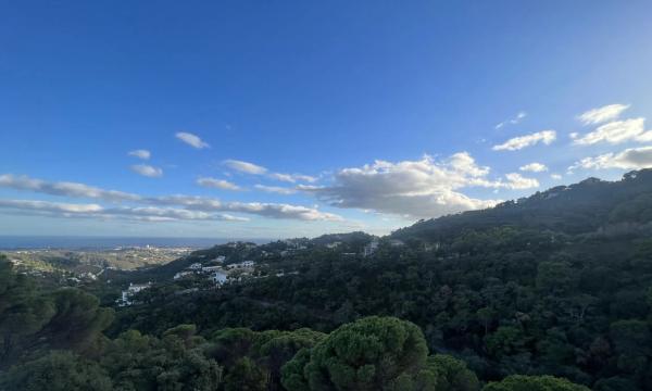 Terreno en El Madroñal
