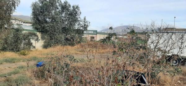 Terreno en calle Manuel Jalón s/n
