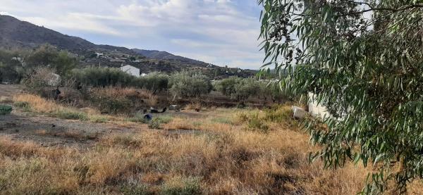 Terreno en calle Manuel Jalón s/n