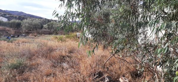 Terreno en calle Manuel Jalón s/n
