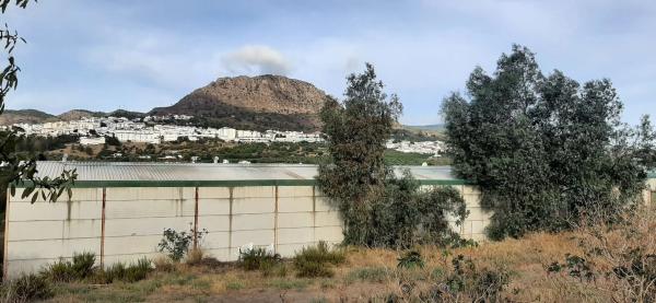 Terreno en calle Manuel Jalón s/n