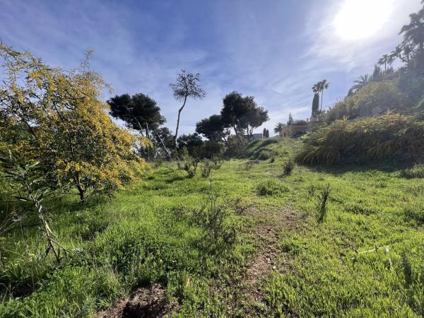 Terreno en avenida 16, 276