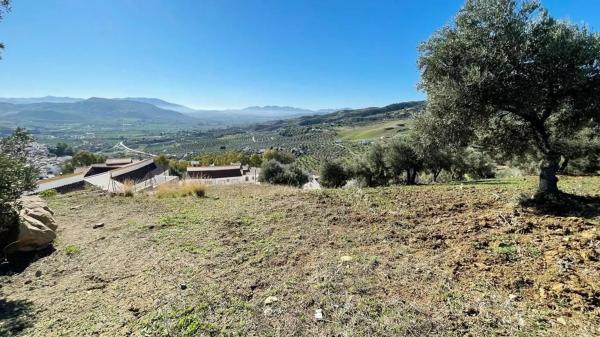 Terreno en calle Uriqui