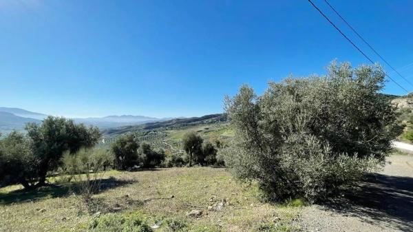 Terreno en calle Uriqui