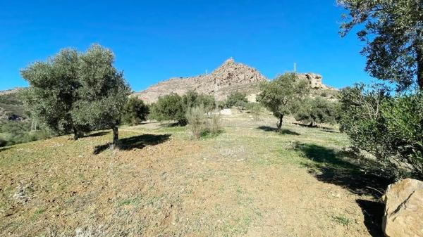 Terreno en calle Uriqui