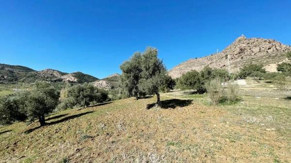 Terreno en calle Uriqui