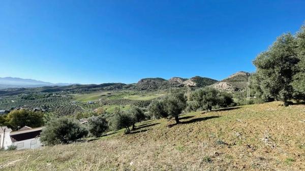 Terreno en calle Uriqui