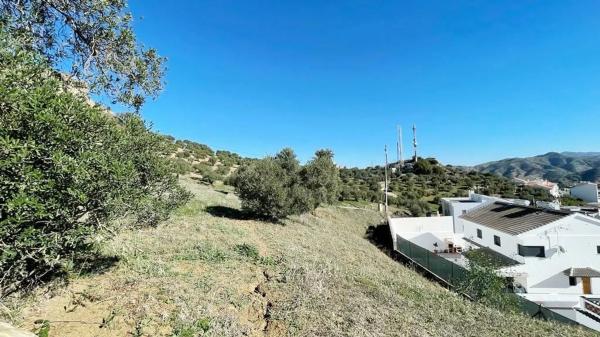 Terreno en calle Uriqui