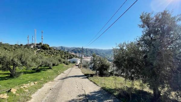Terreno en calle Uriqui