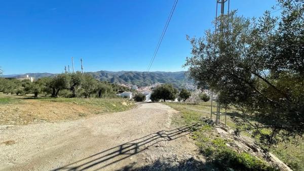Terreno en calle Uriqui