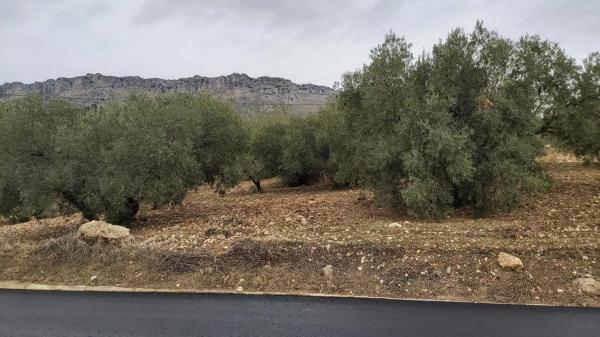 Terreno en calle Plantel Juvenil