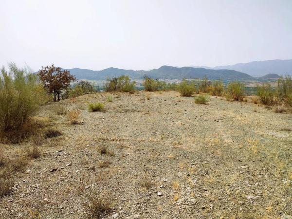Terreno en Estación