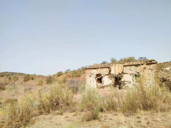 Terreno en Estación
