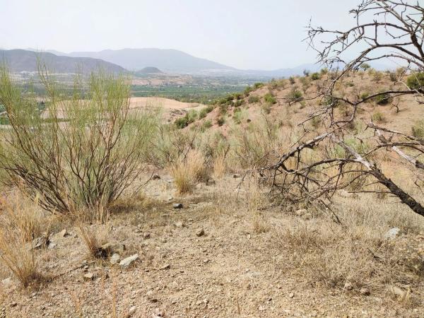 Terreno en Estación