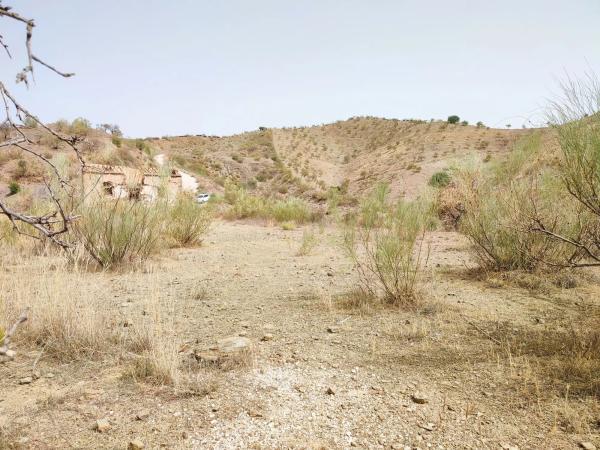 Terreno en Estación