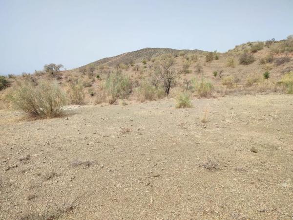 Terreno en Estación