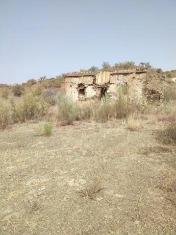 Terreno en Estación