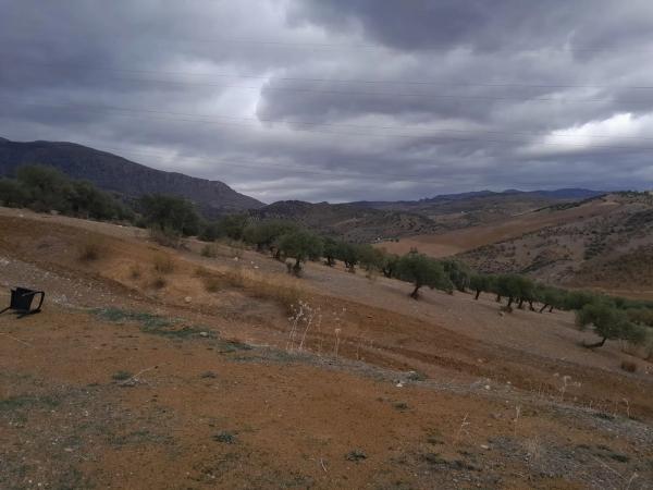 Terreno en Estacion Las Mellizas s/n