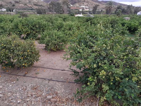 Terreno en Bellavista s/n