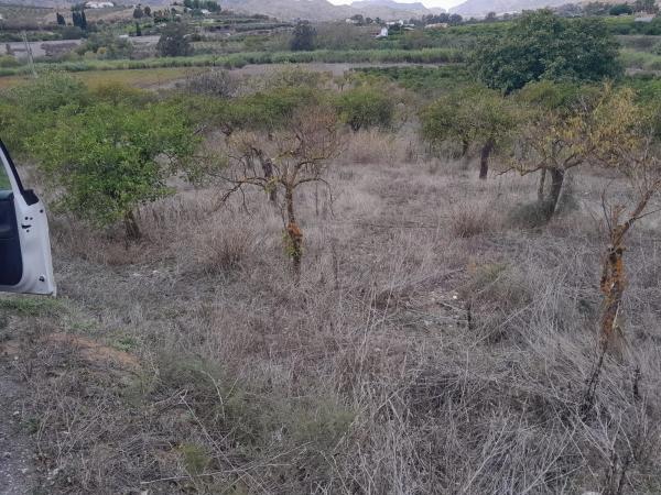 Terreno en Casablanquilla s/n