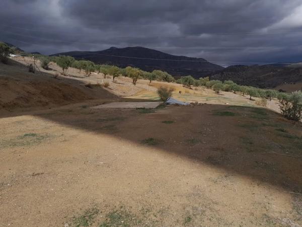 Terreno en Estacion Las Mellizas s/n