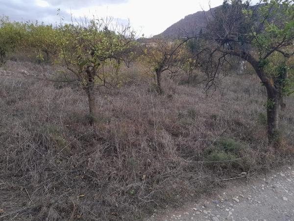 Terreno en Casablanquilla s/n