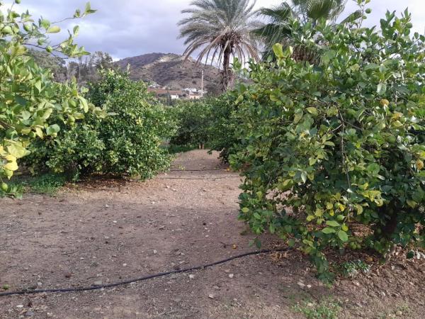 Terreno en Bellavista s/n