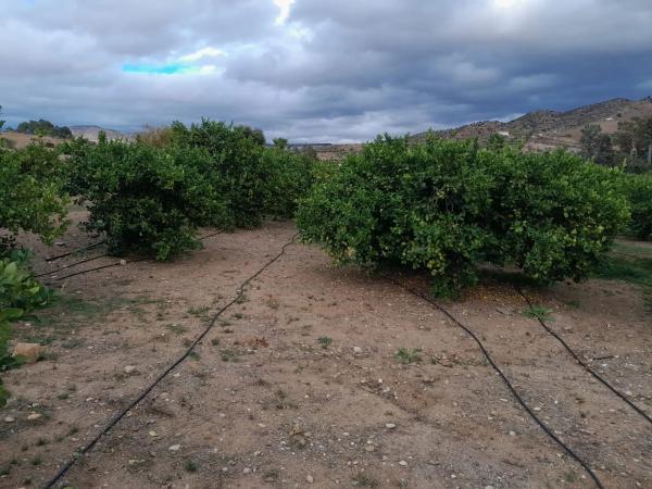 Terreno en Bellavista s/n