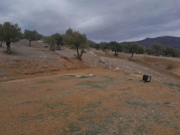 Terreno en Estacion Las Mellizas s/n