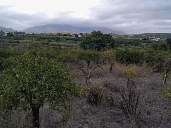 Terreno en Casablanquilla s/n