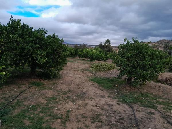 Terreno en Bellavista s/n