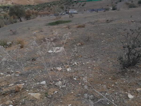 Terreno en Estacion Las Mellizas s/n