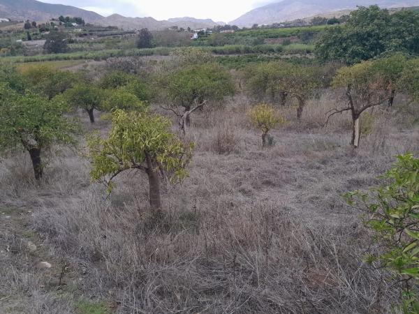 Terreno en Casablanquilla s/n